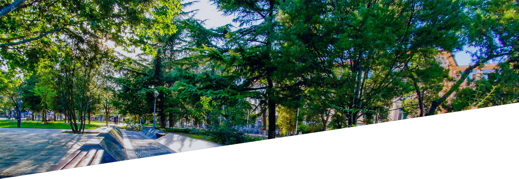 欧博abg-官方网址登录入口