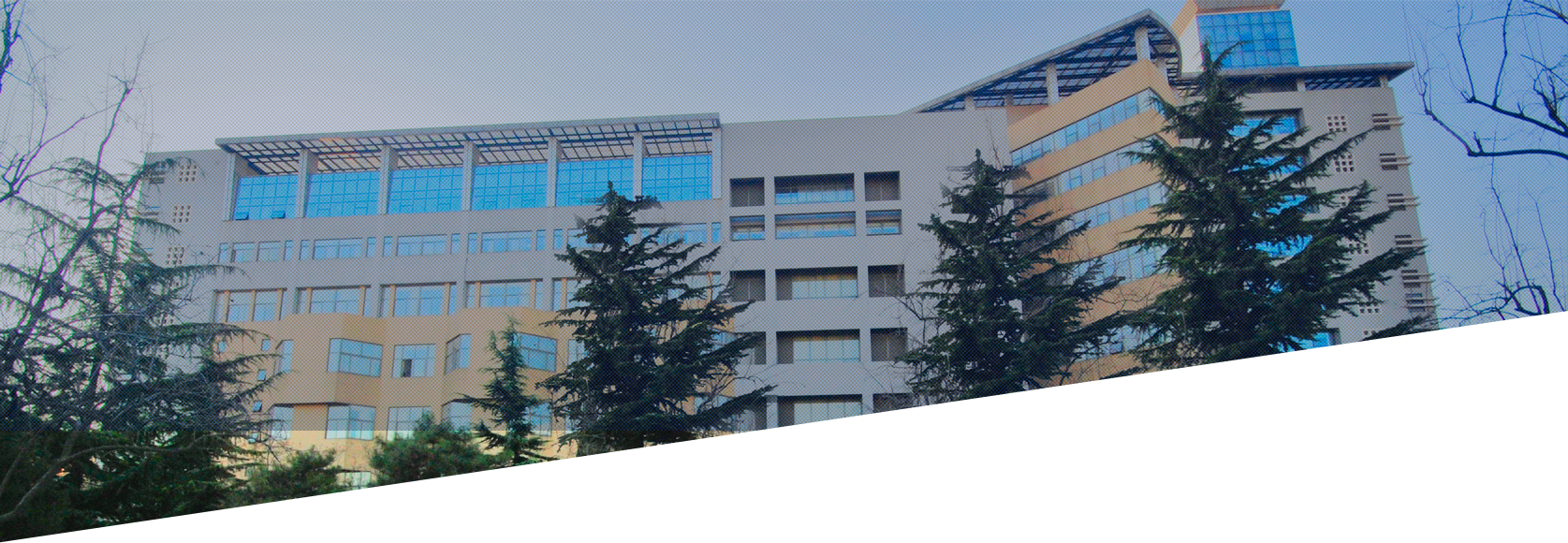 欧博abg-官方网址登录入口